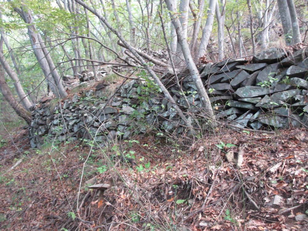 霞城跡の石垣(「石門」と呼ばれる部分の土塁外側)