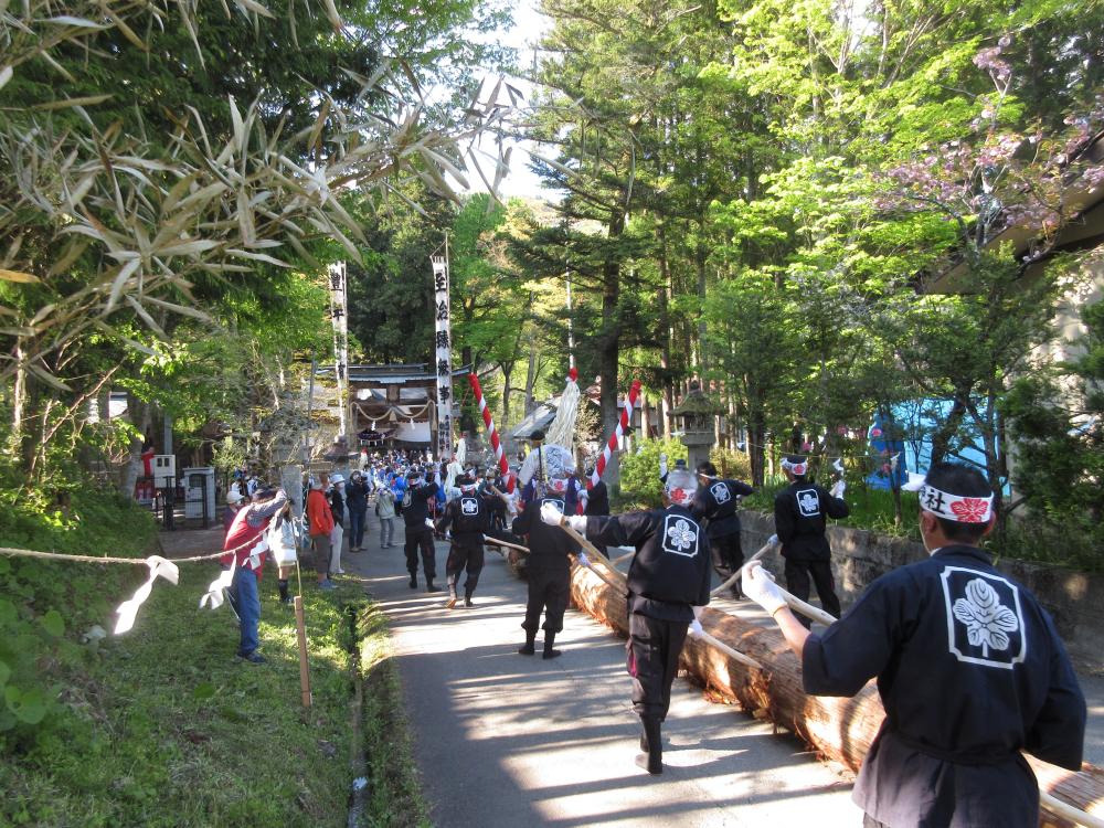 小川神社の御柱祭 参道を境内に向かう「一の御柱」