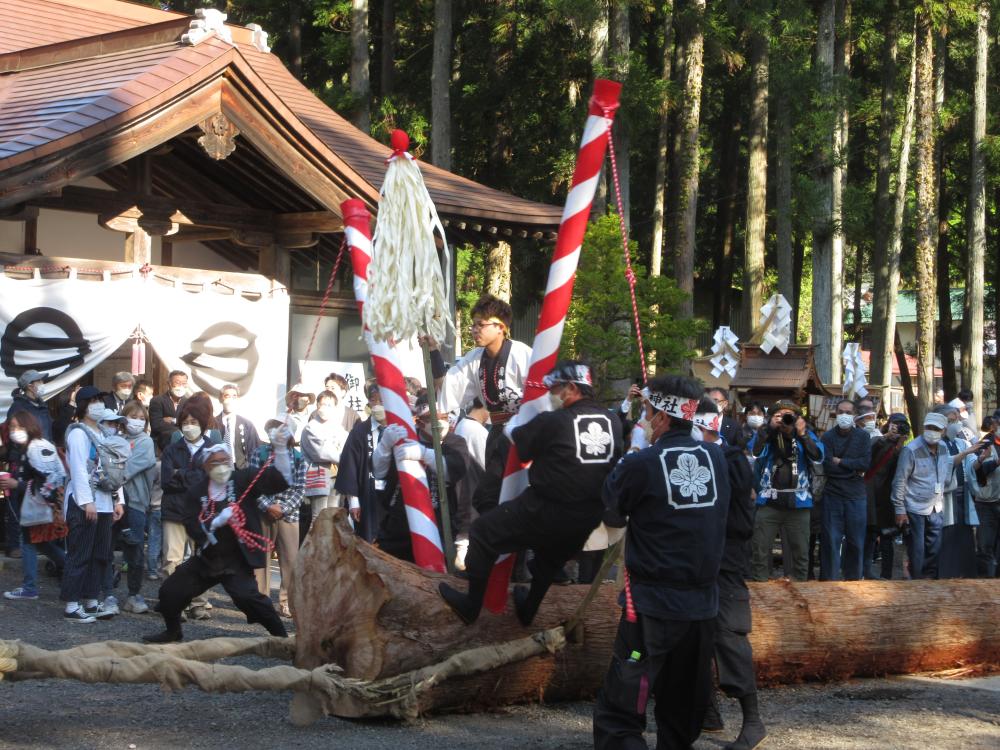 小川神社の御柱祭 境内に引き込まれた御柱の写真