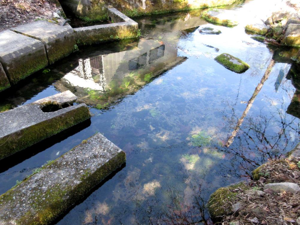 サケの孵化(ふか)施設になった東勝寺 ～豊かな湧き水の写真