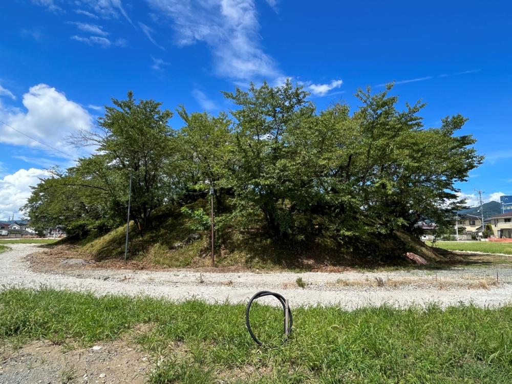 東から見た南向塚古墳