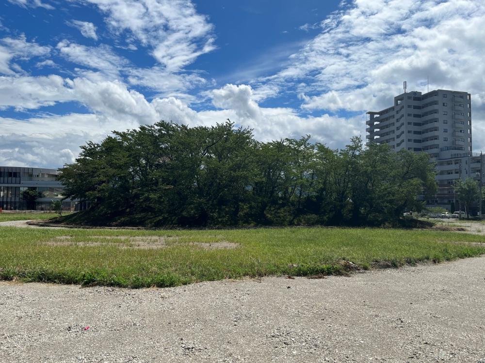 北から見た南向塚古墳