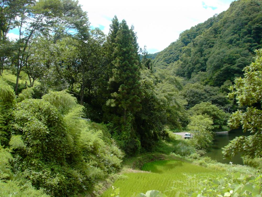 善光寺地震でできた柳久保池の「天然ダム」部分の写真
