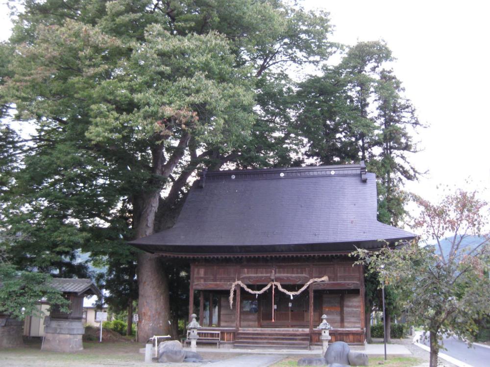 大土石流から集落を守った「ご神木」 川中島町四ツ屋の伊勢社の写真