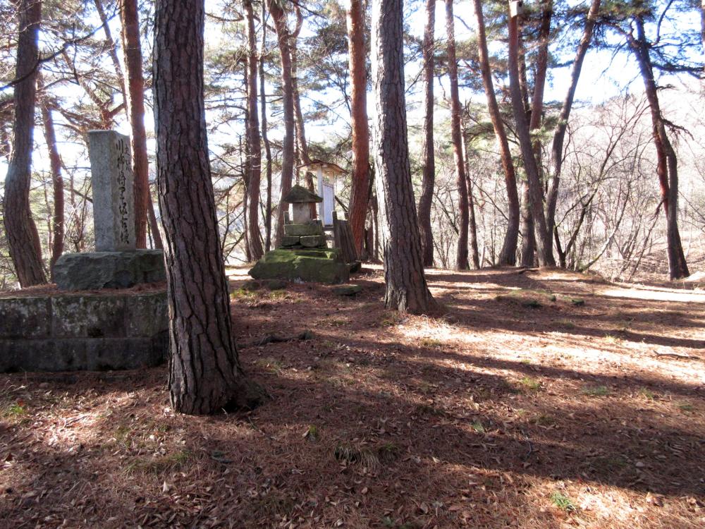 川柳将軍塚古墳 現在の後円部の頂部の写真