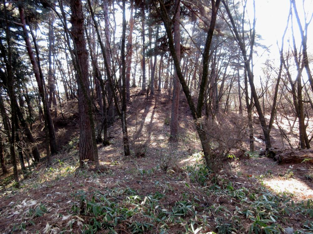 川柳将軍塚古墳 前方部から見た後円部の様子の写真