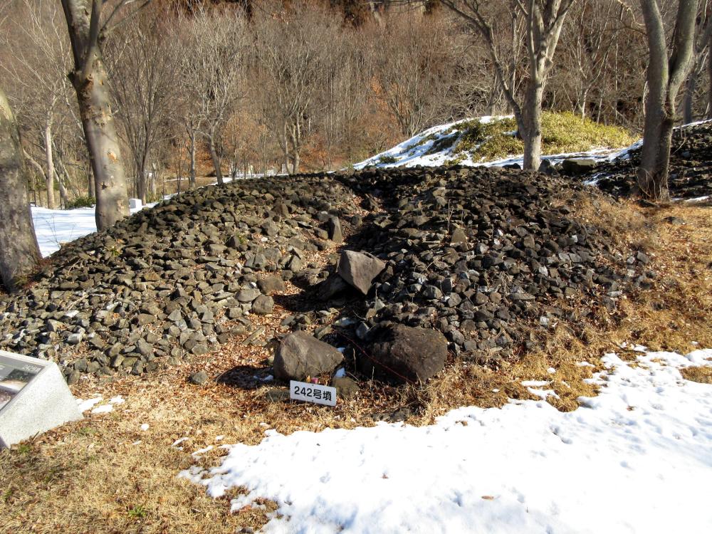 大室古墳群 積石塚の様子がわかる242号墳