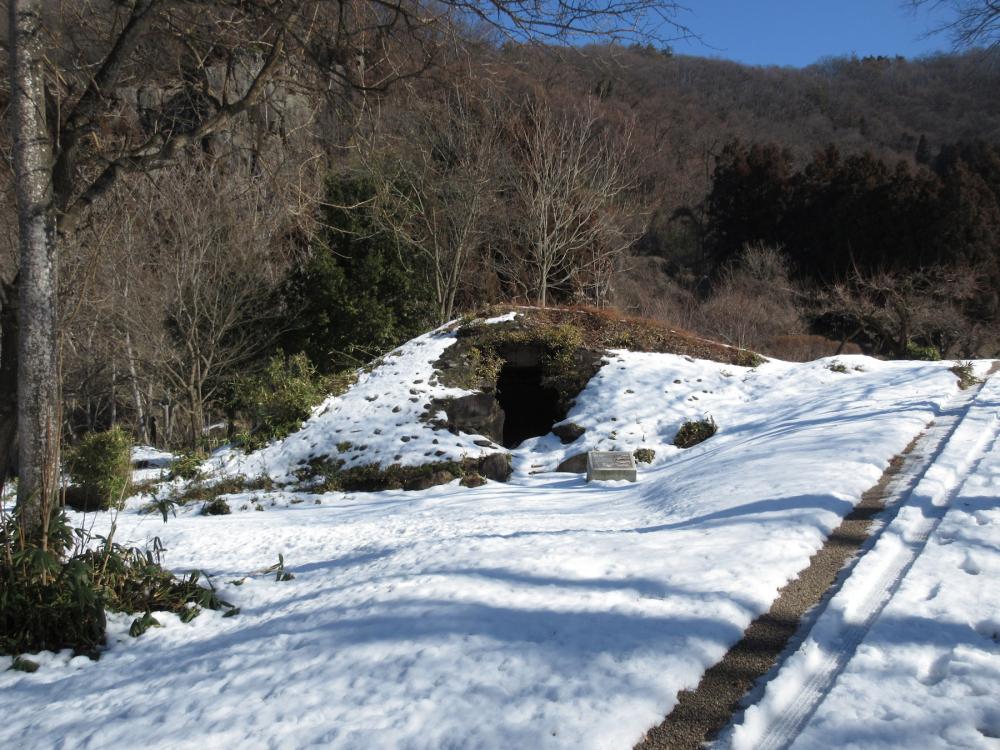 大室古墳群 横穴式石室の入口が見える240号墳の写真