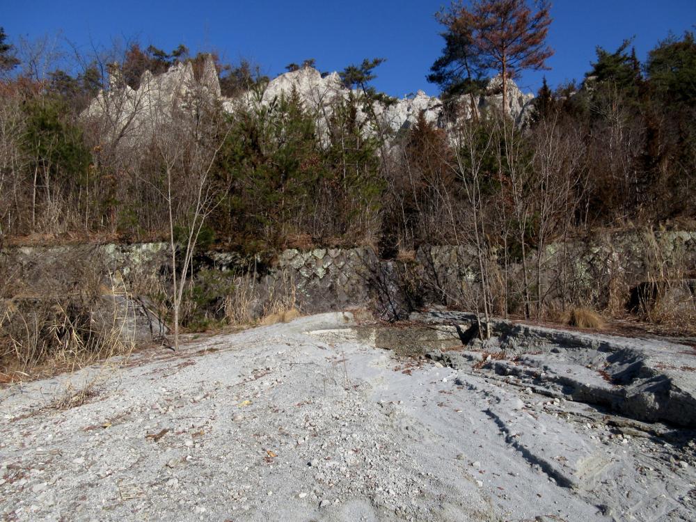岡田川上流のバッドランドから流出する土砂を止めようとする谷止め工