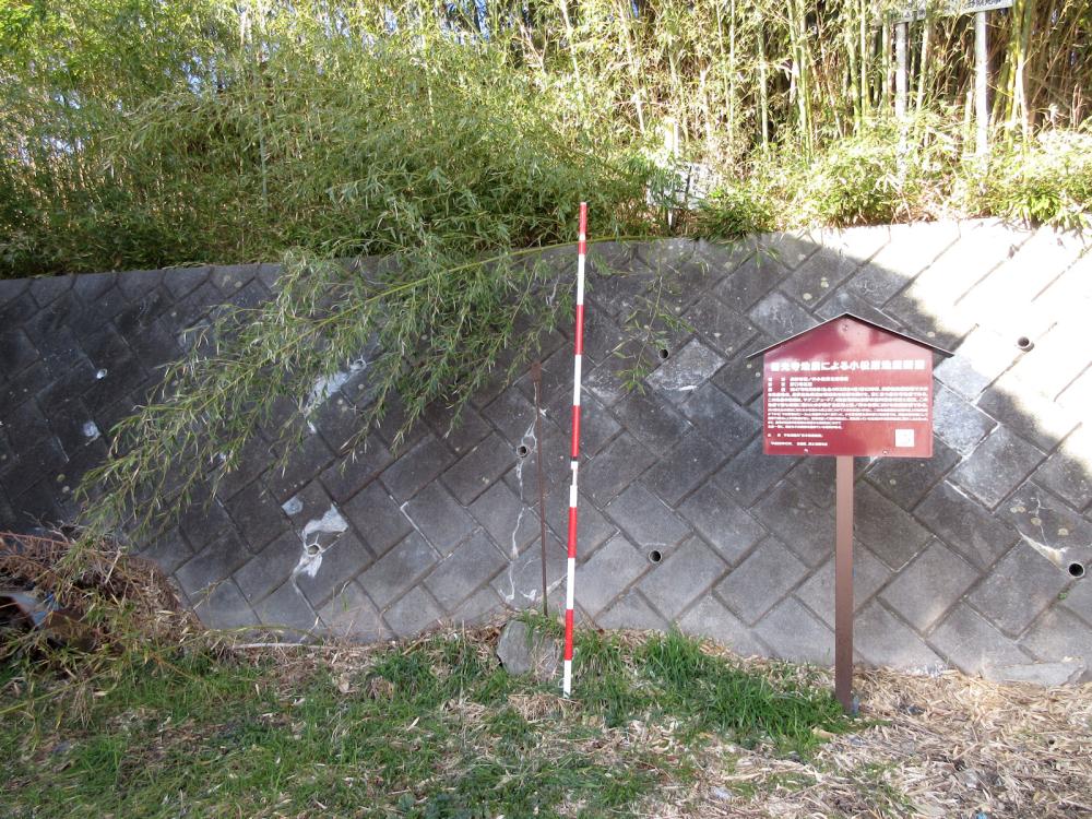 小松原に残る善光寺地震で動いた断層