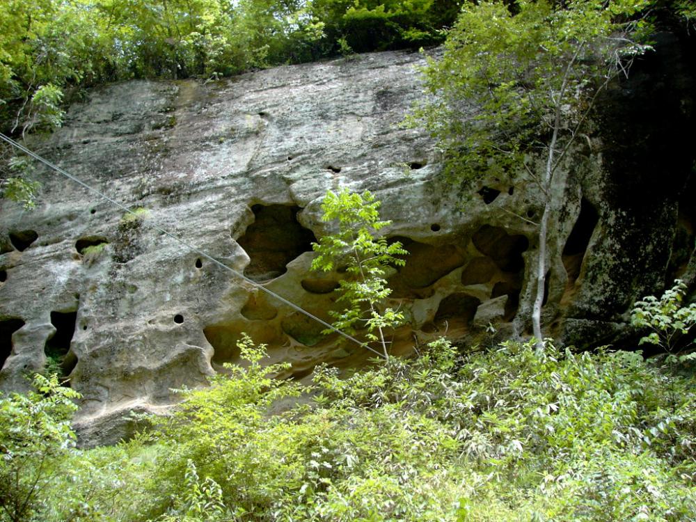 柳久保川のほとりにあるタフォニの写真