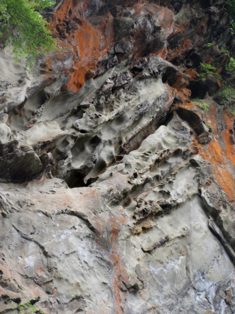 小川川のほとりにあるタフォニ