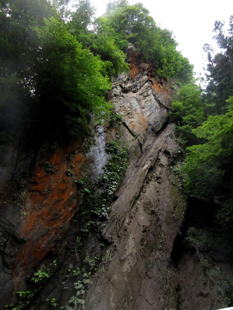 小川川のほとりの青木層の露頭の写真