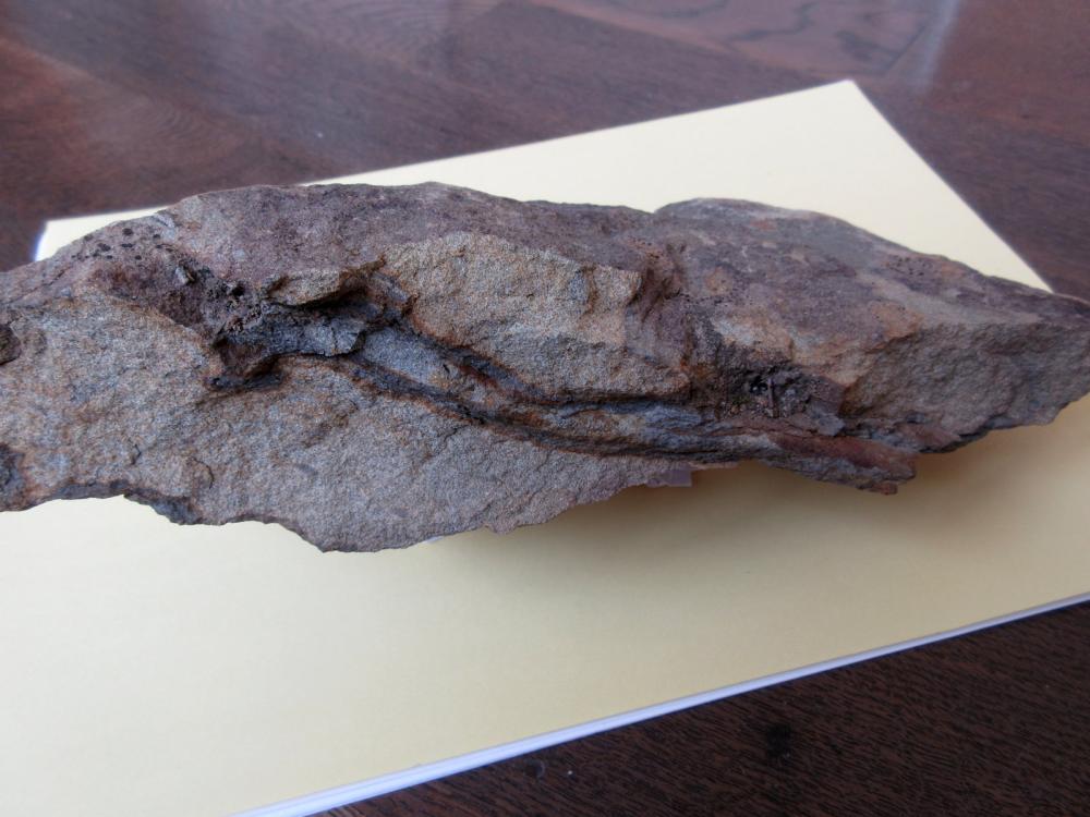 小川層のサンドパイプの写真