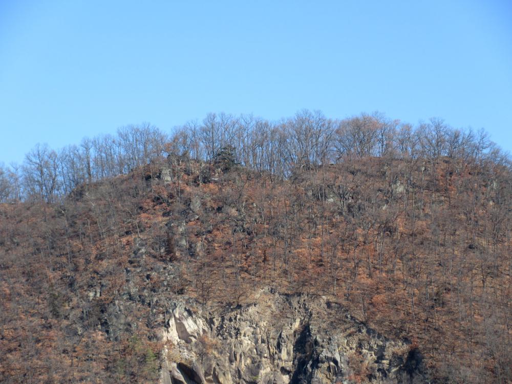 金井山城 中核部の遠望の写真