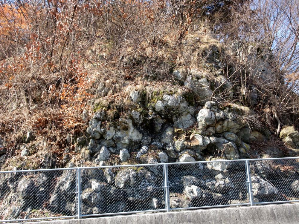 大柳の枕状溶岩の写真