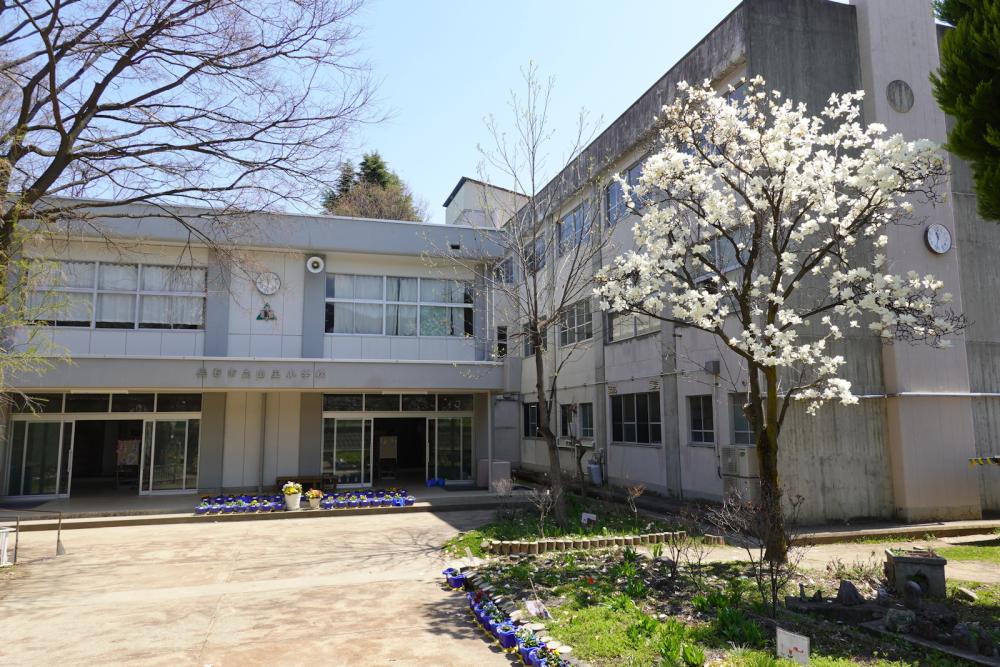 山王小学校の写真