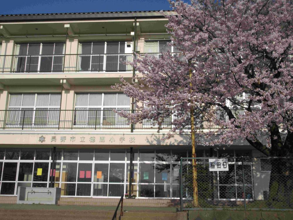 徳間小学校の写真