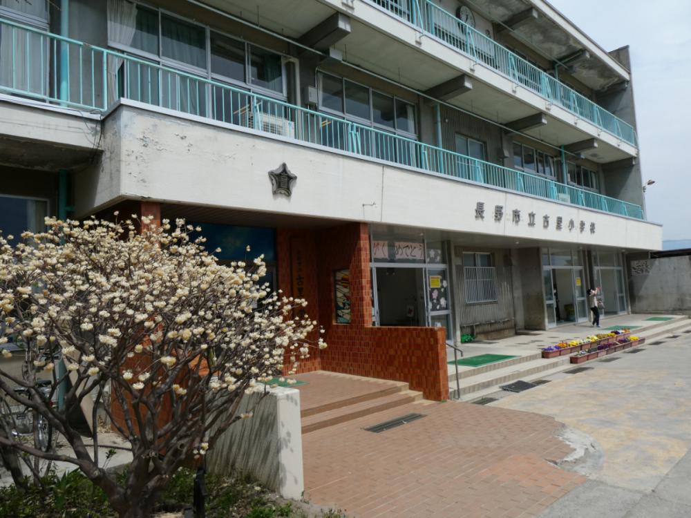 古里小学校の写真