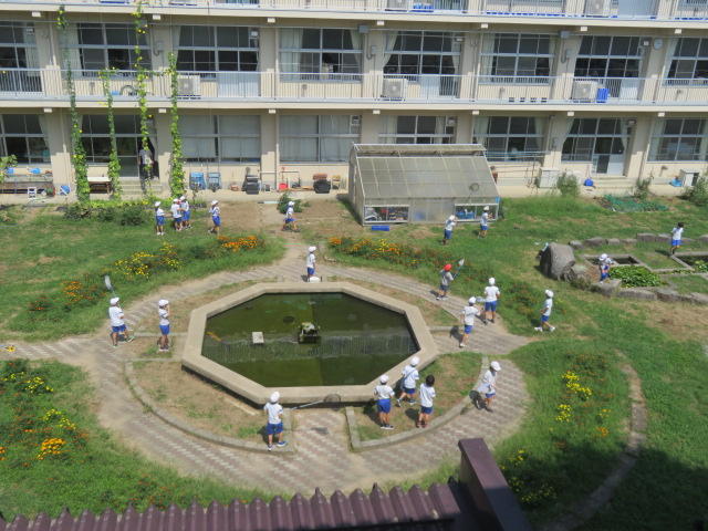 篠ノ井東小学校の写真