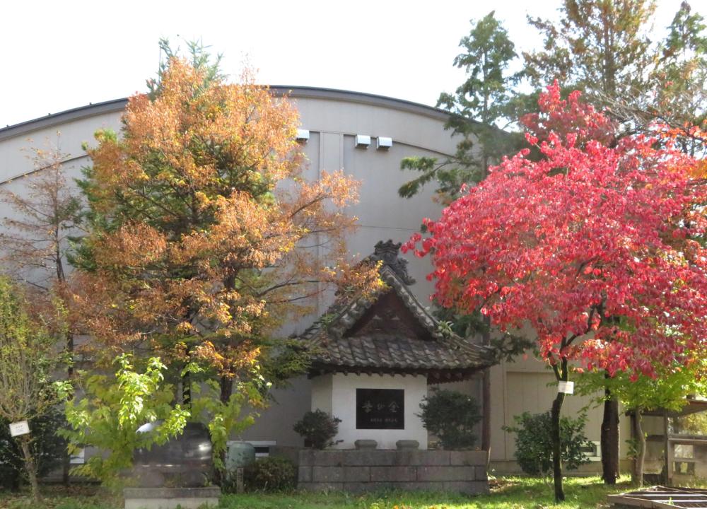 塩崎小学校の写真