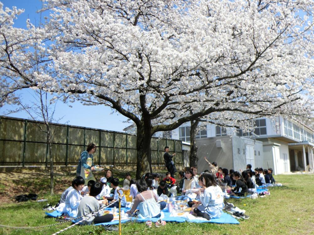 真島小学校の写真