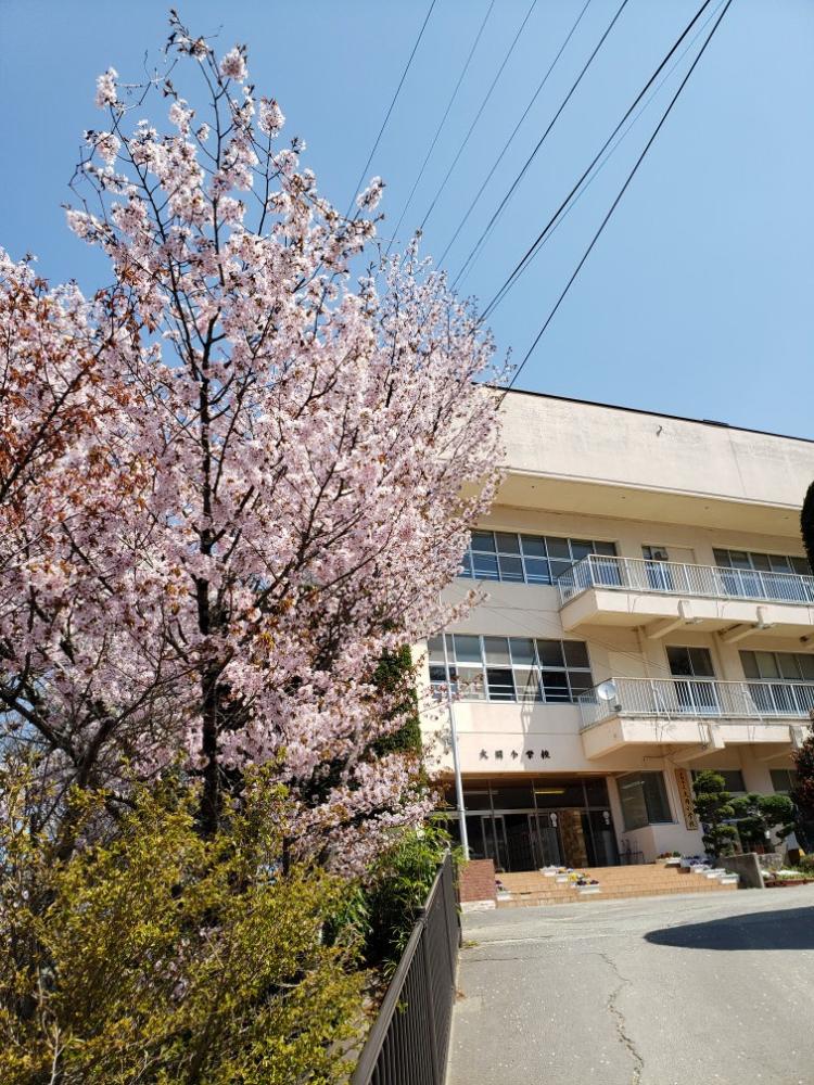 大岡小学校の写真