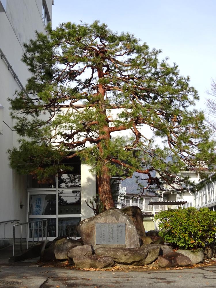 北部中学校の写真