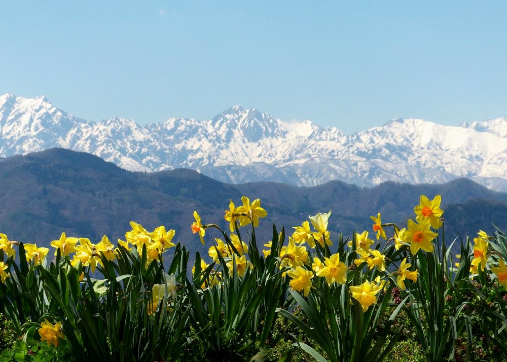 大岡中学校の写真