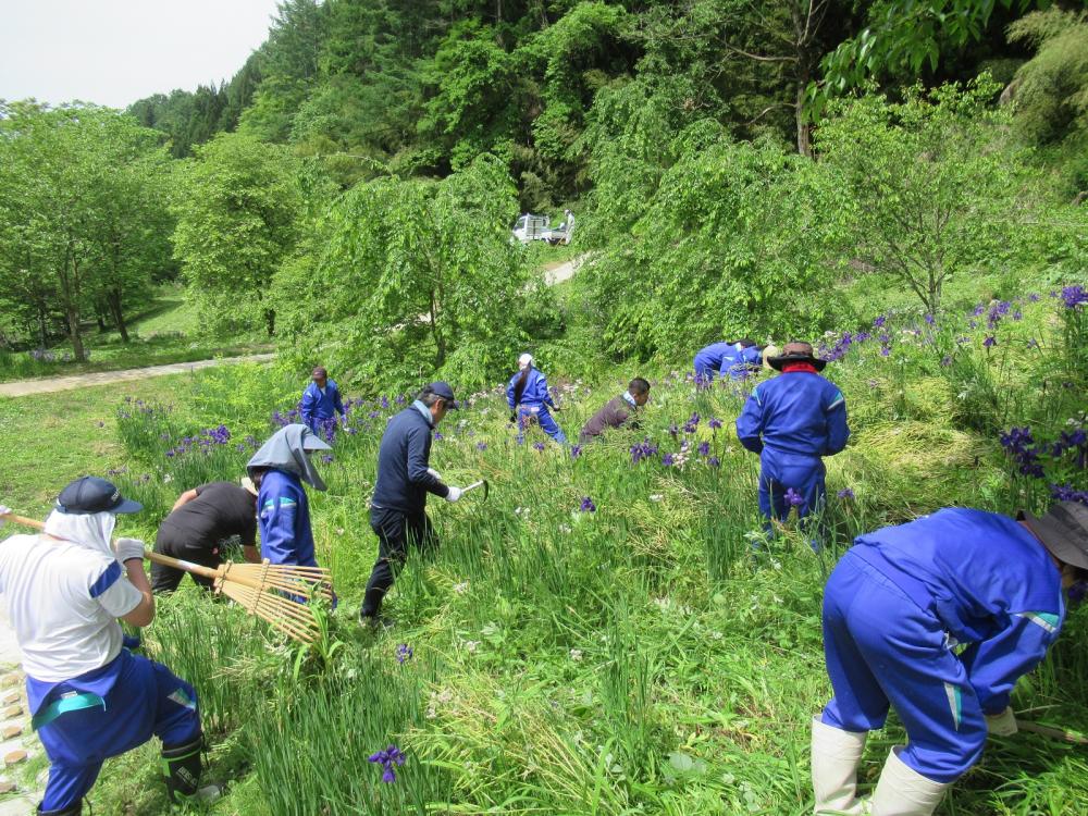 登録有形文化財の石張水路工を整備する小川中学校の生徒の写真