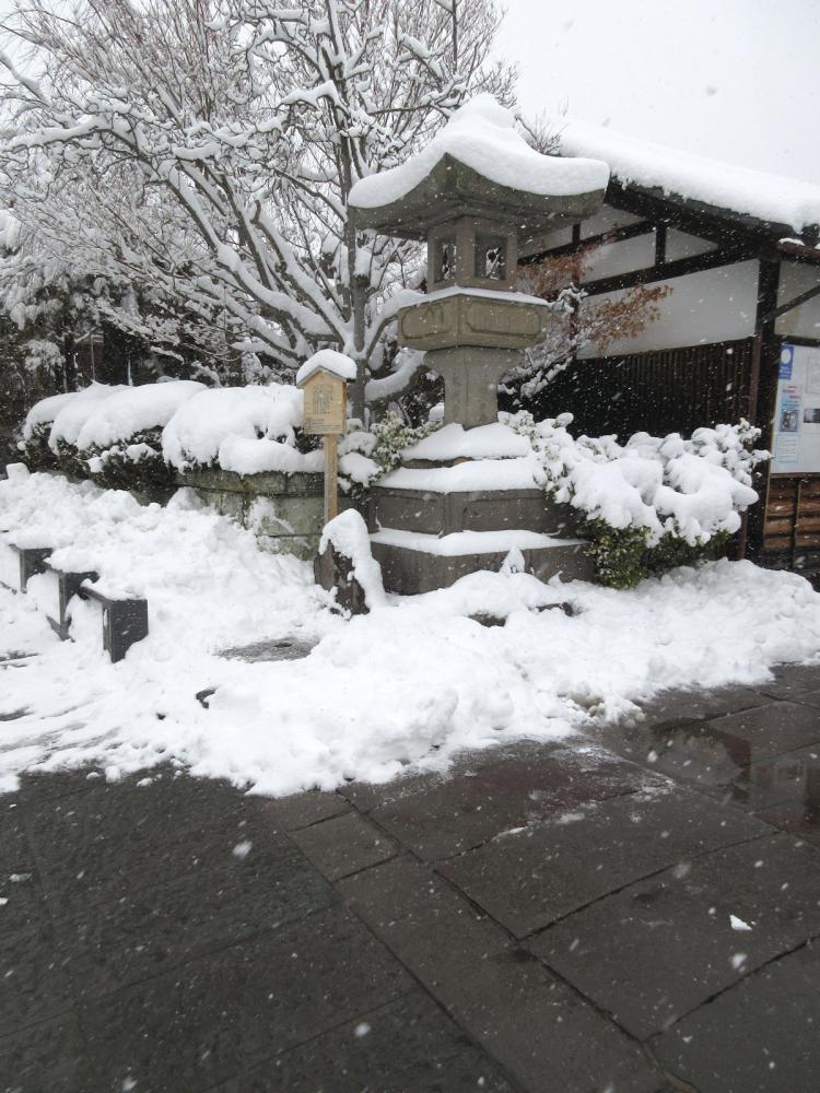 善光寺 駒返橋と参道の写真