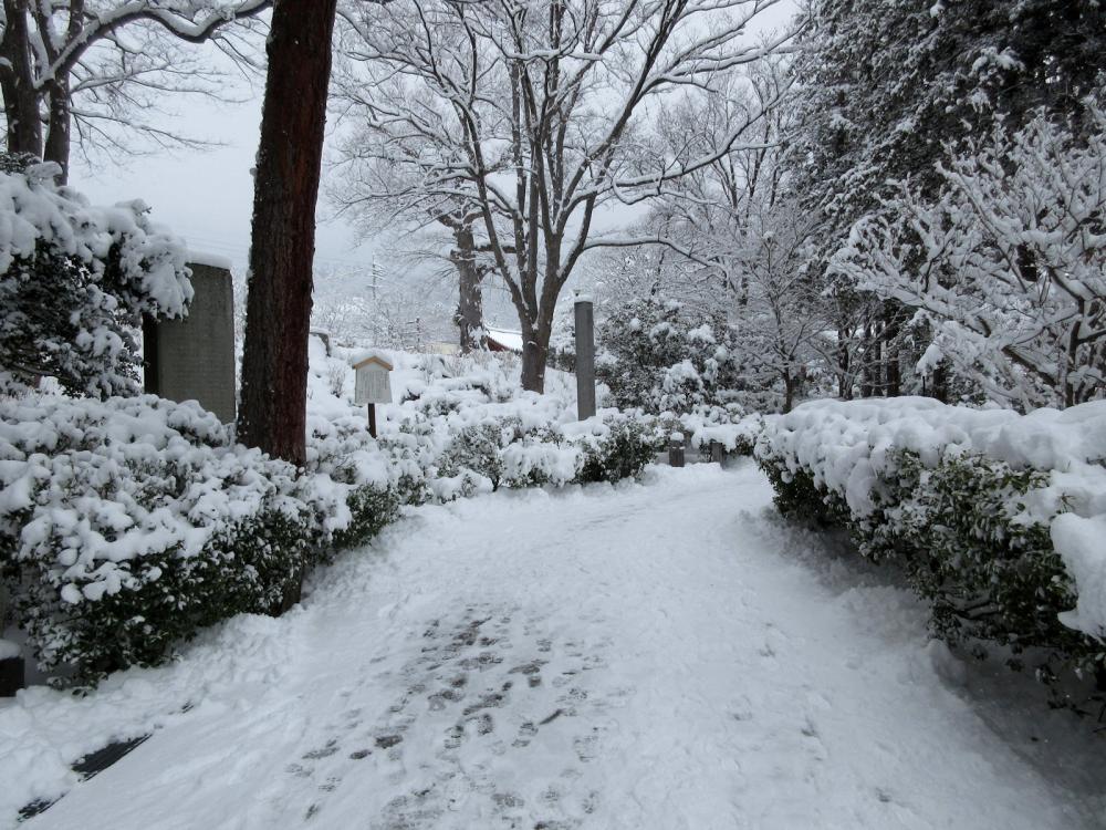 善光寺 本堂西側の土塁(どるい)
