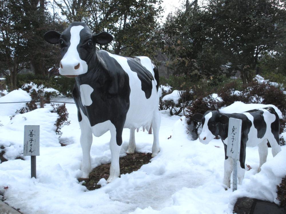 善光寺 乳牛親子像