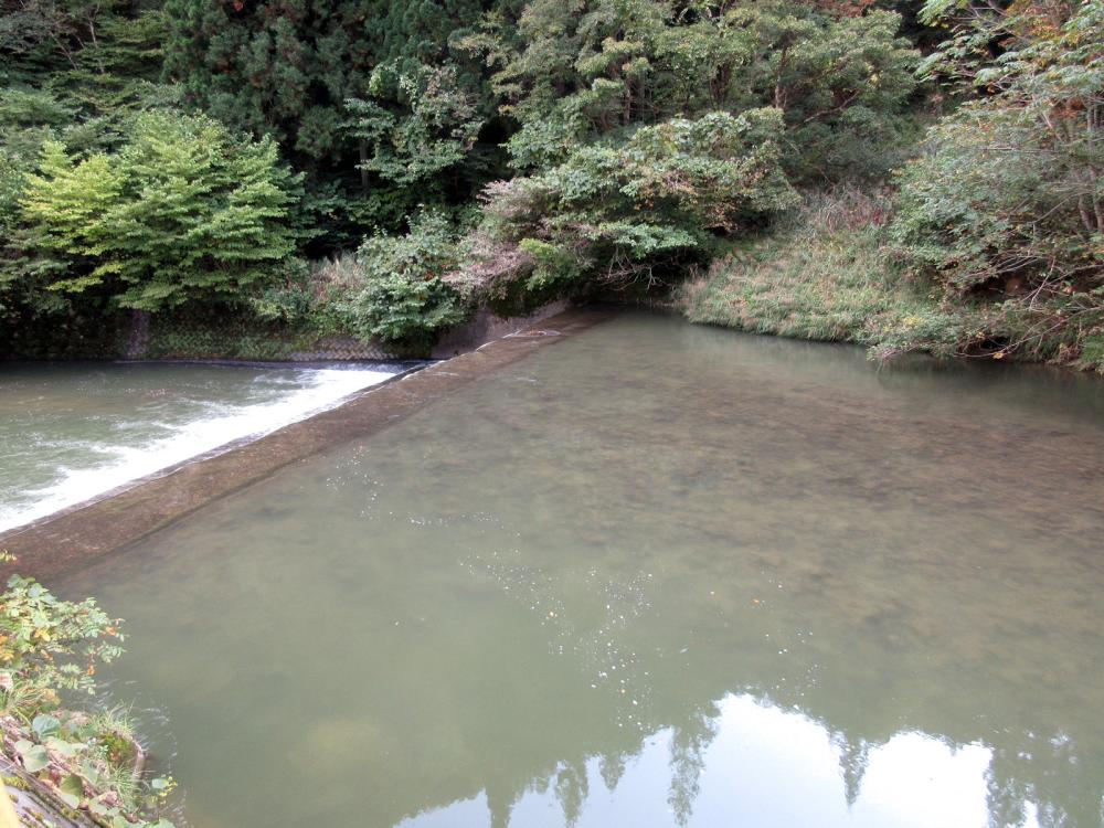 旧上水電力発電所 取水口の堰堤(上流側)
