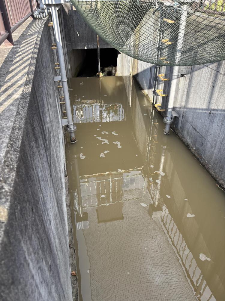 鐘鋳堰(本郷水門2)