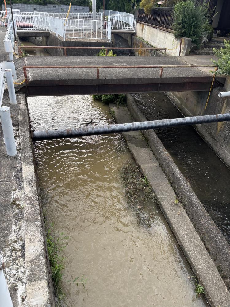 鐘鋳堰(松林水門付近‐水路分岐点)