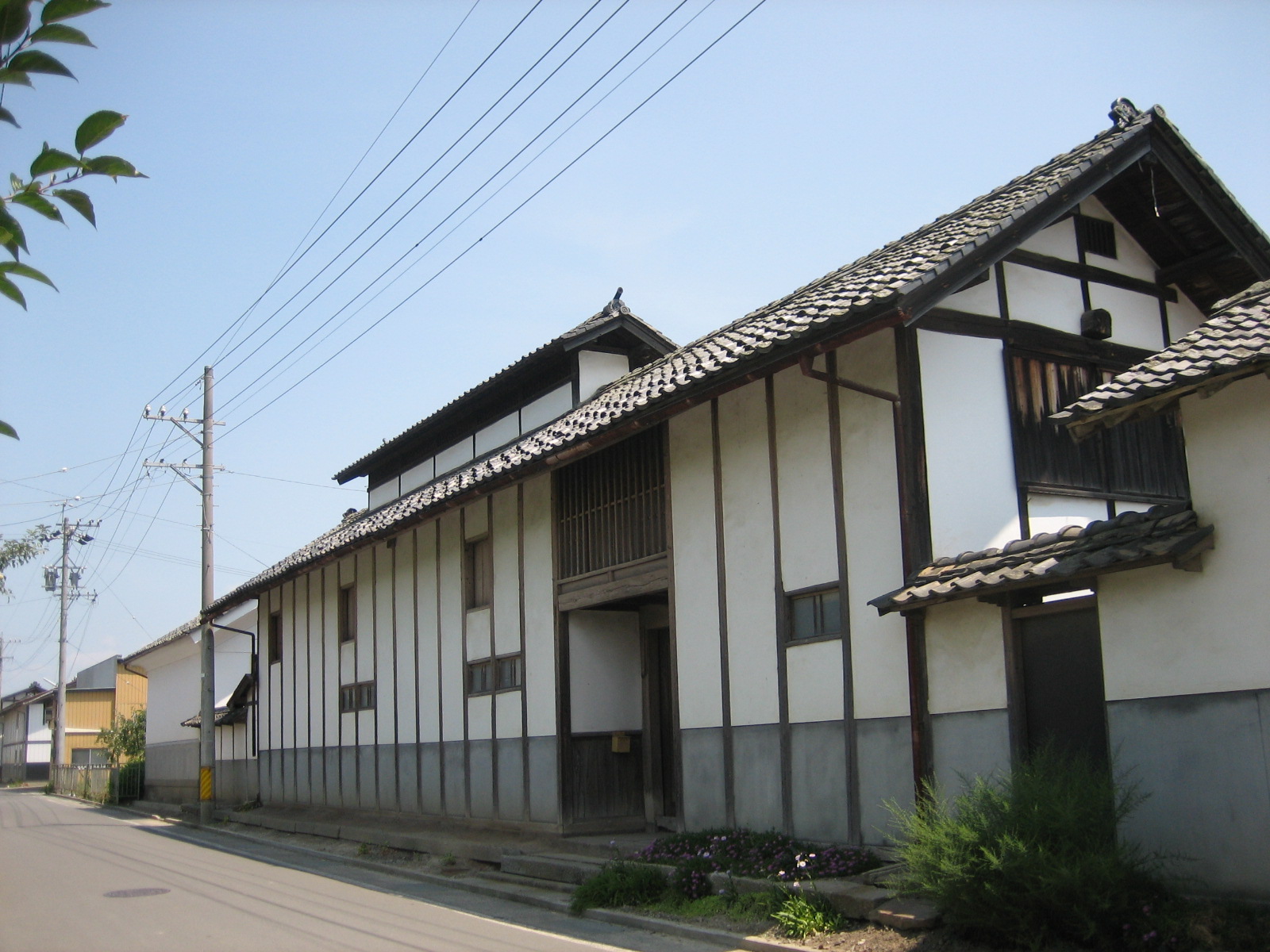 穂保１９の写真