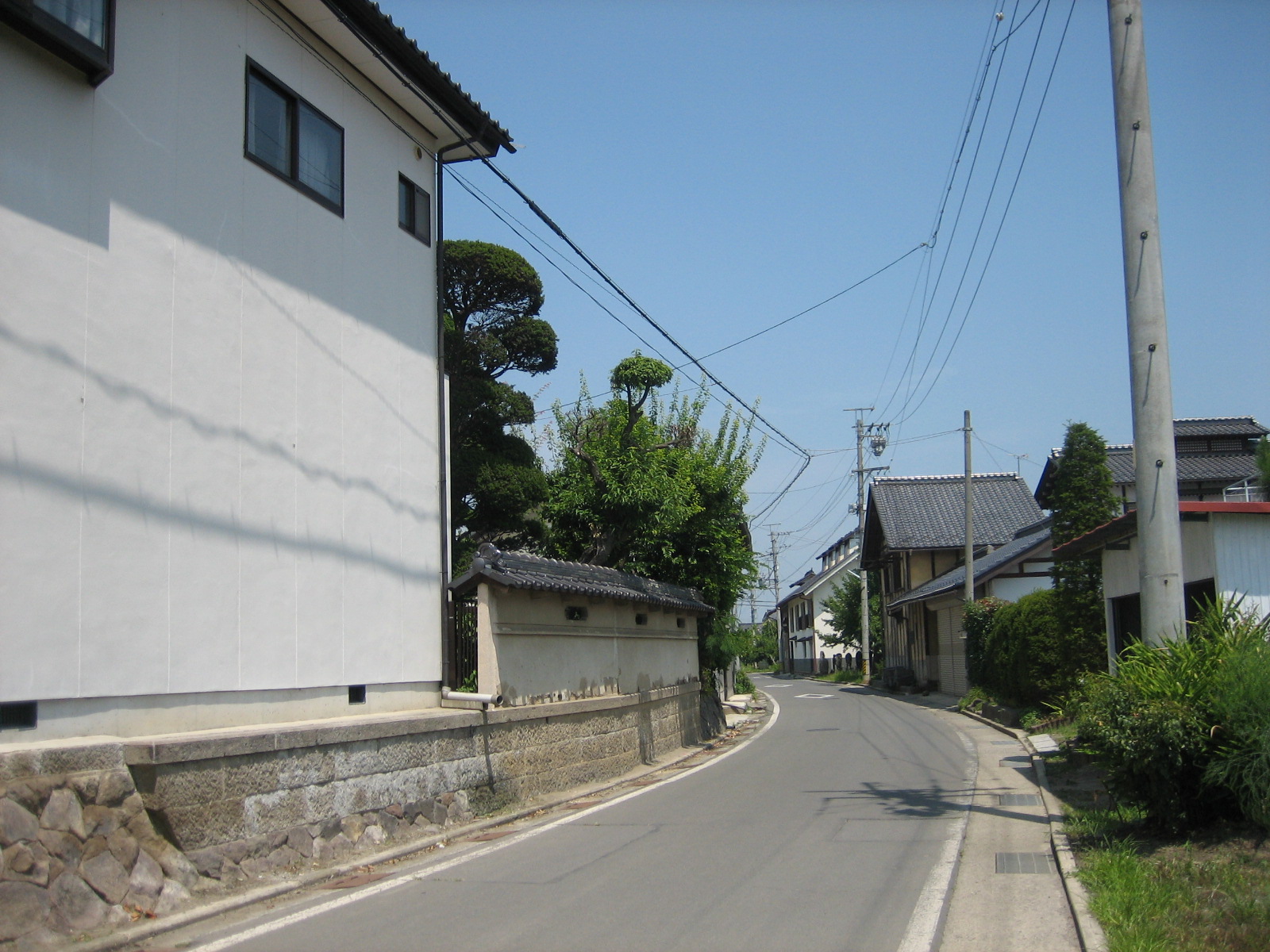 穂保２１の写真