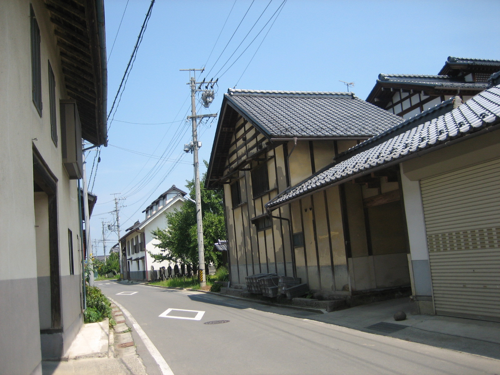 穂保２２の写真