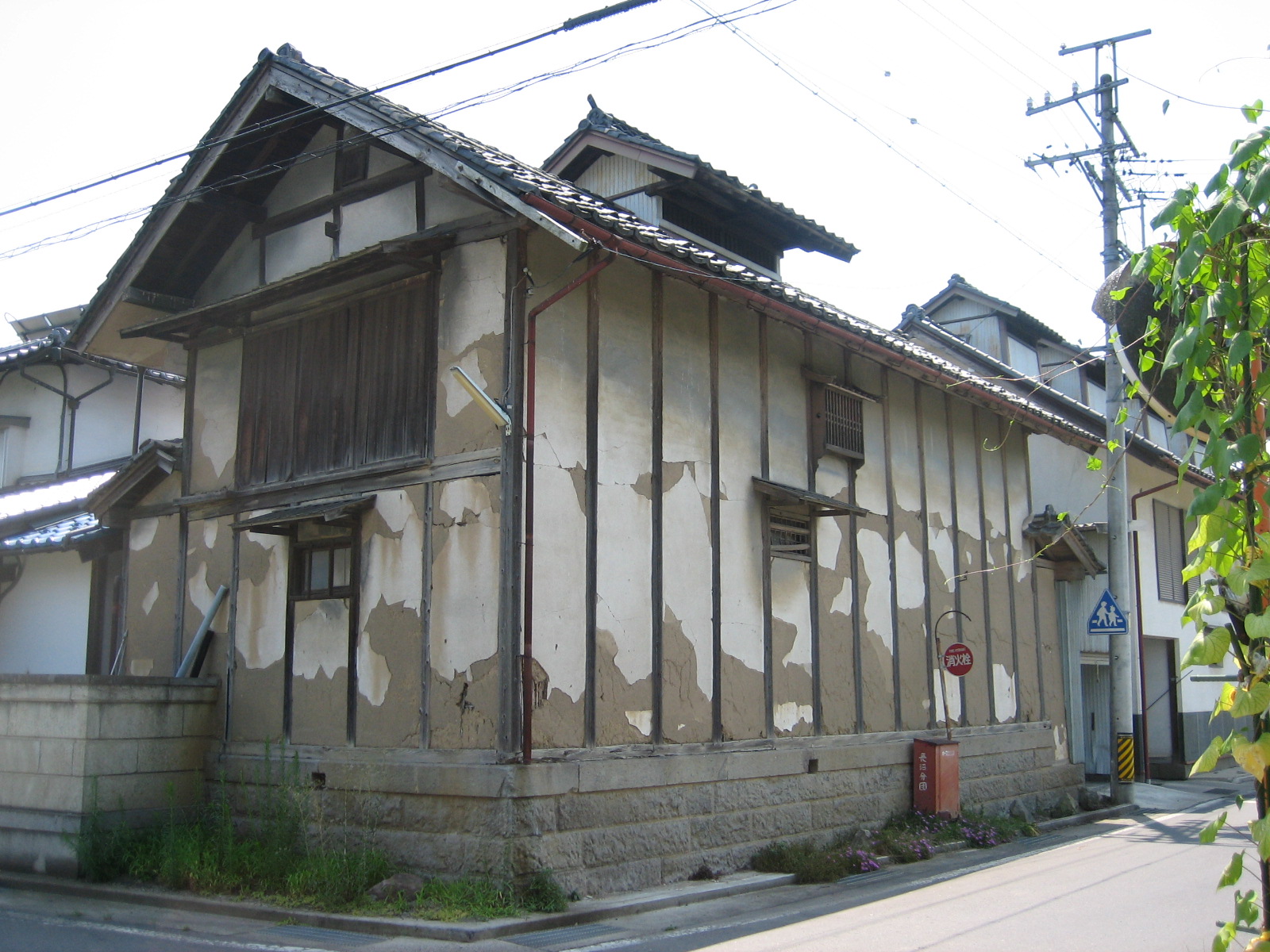 穂保２４の写真