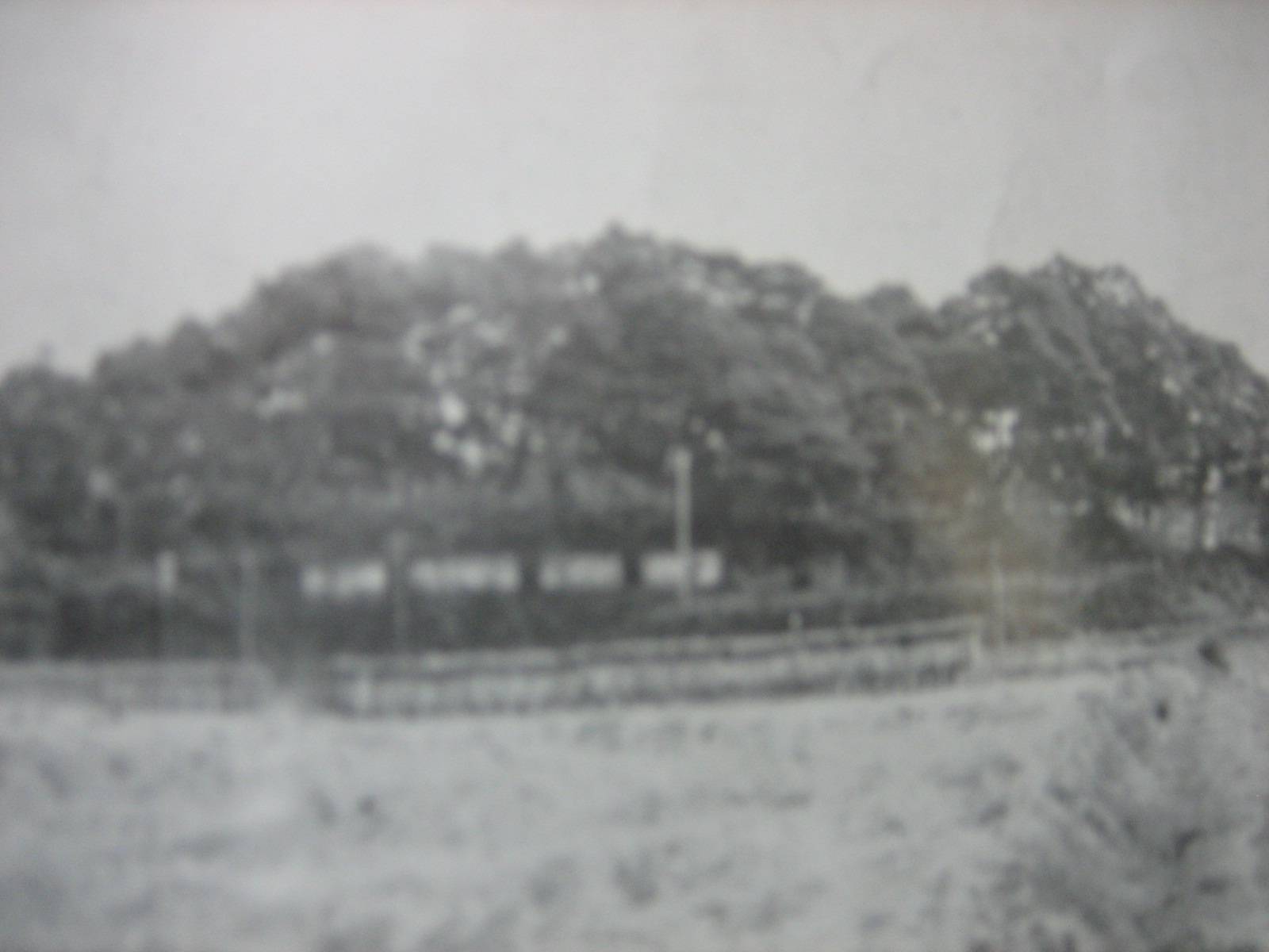 大倉城の出丸　手子塚城跡の写真