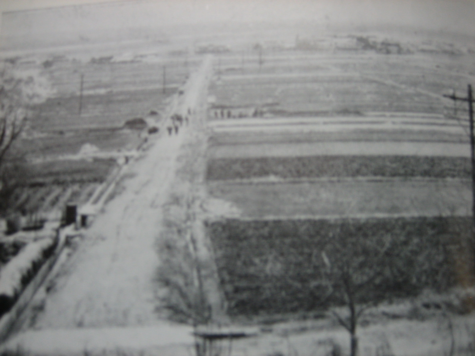 蟹沢区耕地整理の様子の写真