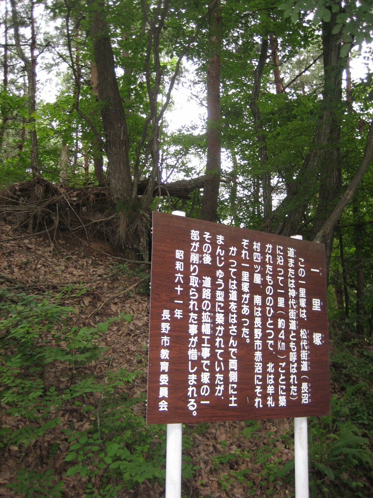 白坂峠の一里塚