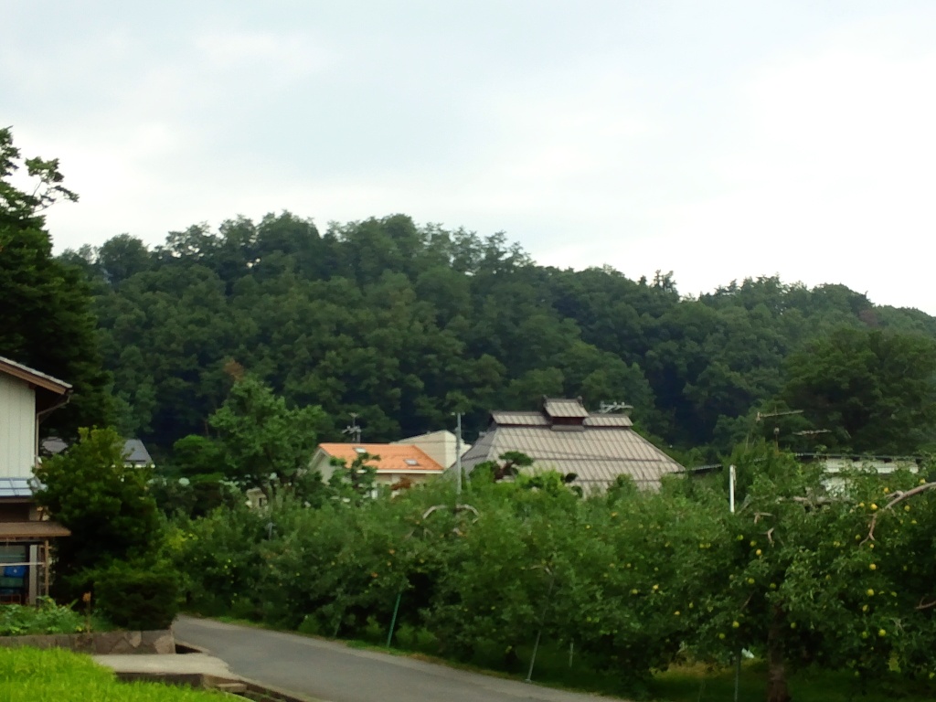 押田館跡より押田城（山城）跡を望むの写真