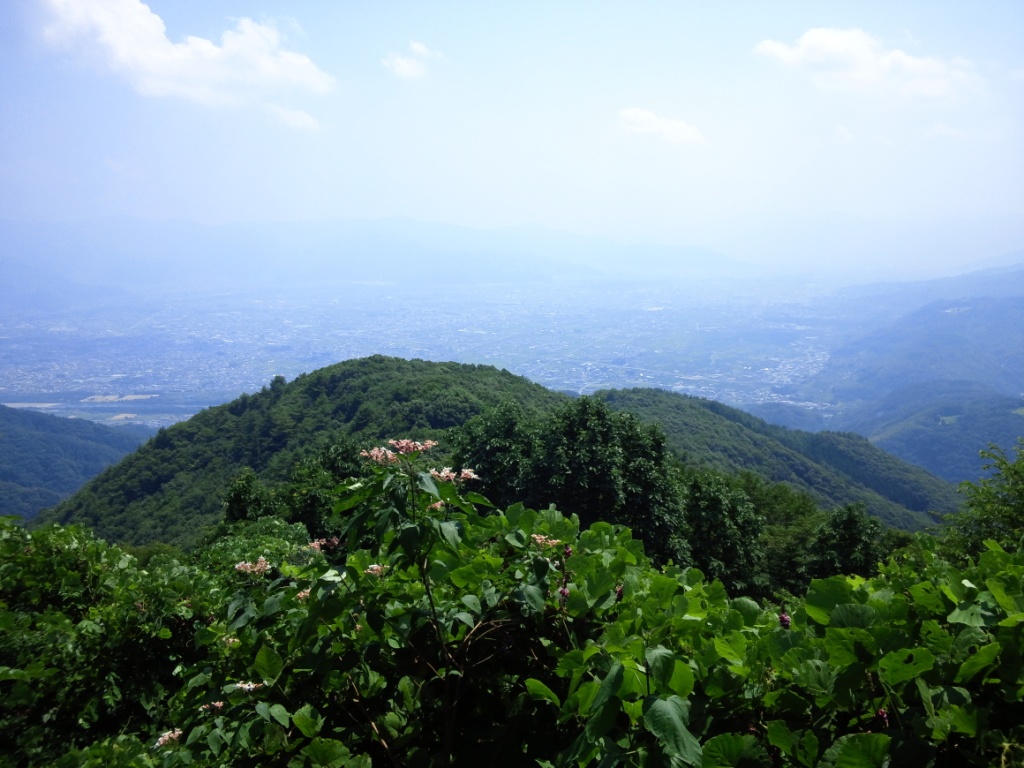 富士の塔山城跡④（富士の塔より川中島平を眺める）