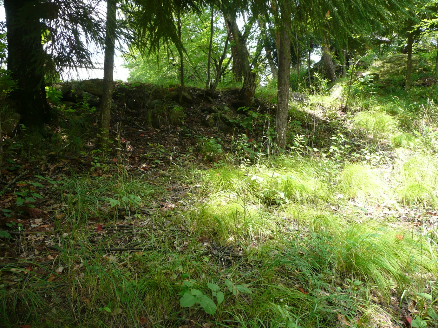 湯ノ入神社城跡②