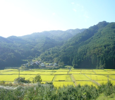 田園風景