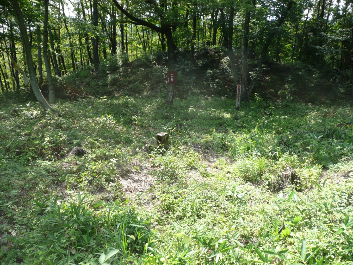 塩崎（白助）城跡①