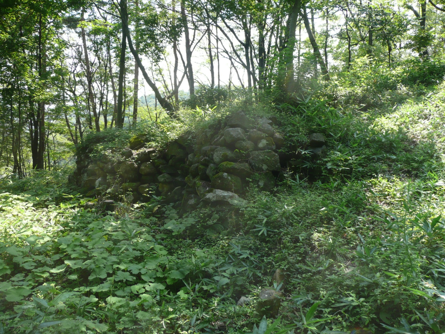 塩崎（白助）城跡②　石垣の写真