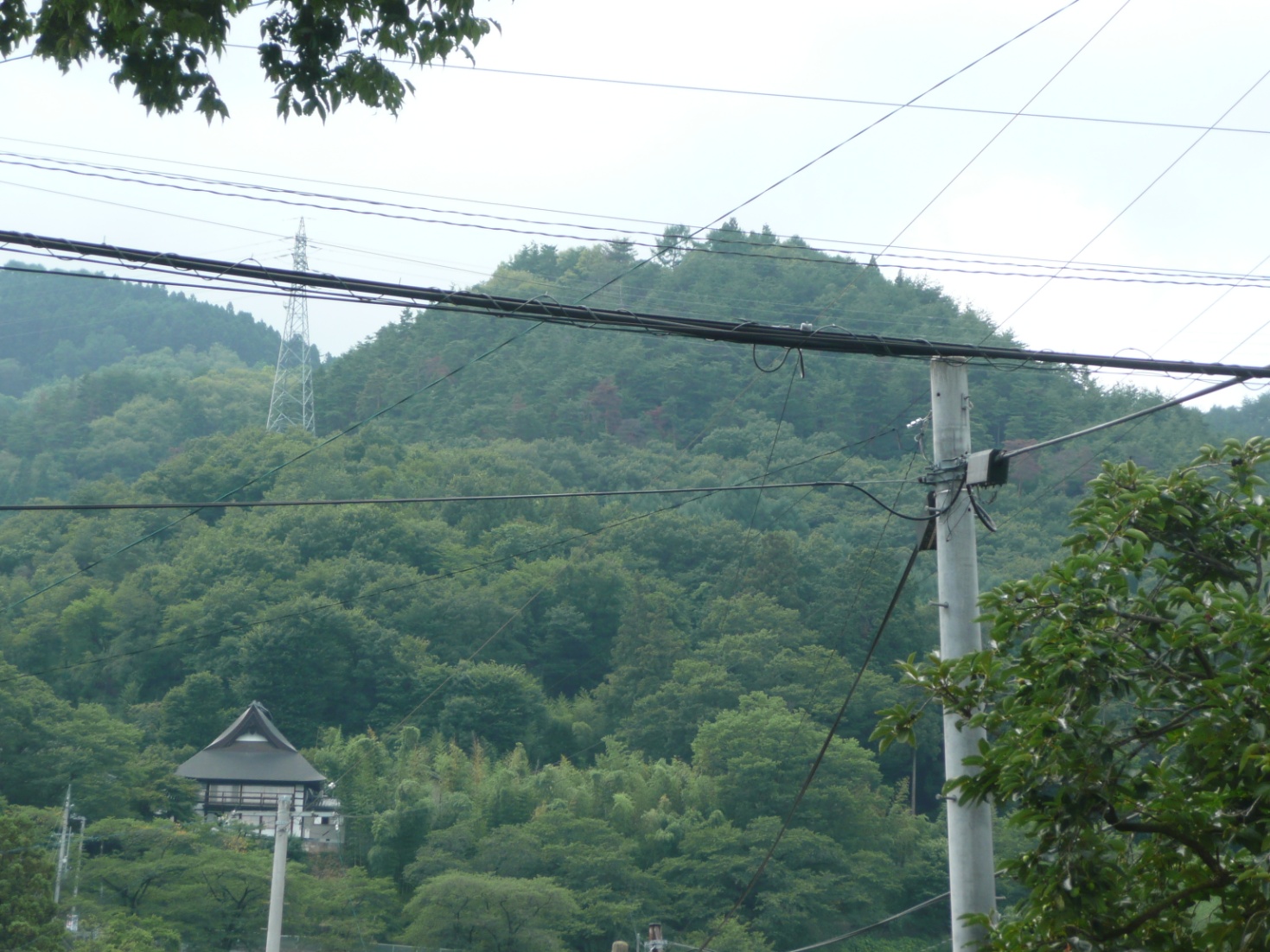 塩崎（白助）城跡③　長谷寺と塩崎城跡遠景